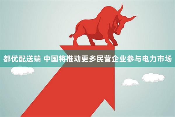 都优配送端 中国将推动更多民营企业参与电力市场
