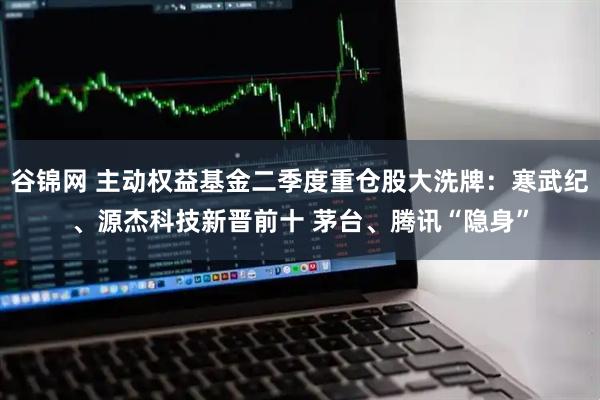 谷锦网 主动权益基金二季度重仓股大洗牌：寒武纪、源杰科技新晋前十 茅台、腾讯“隐身”