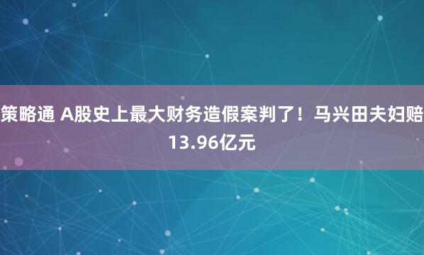 策略通 A股史上最大财务造假案判了！马兴田夫妇赔13.96亿元